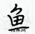 段相林寫的硬筆行書魚