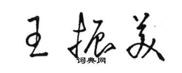 駱恆光王振美草書個性簽名怎么寫