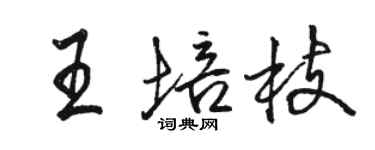 駱恆光王培枝行書個性簽名怎么寫