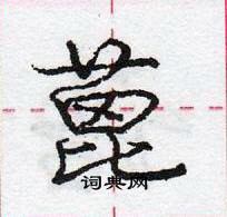 龐中華寫的硬筆行書蓖