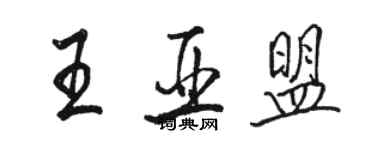 駱恆光王亞盟行書個性簽名怎么寫