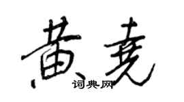 王正良黃堯行書個性簽名怎么寫