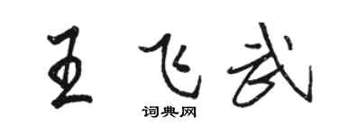 駱恆光王飛武行書個性簽名怎么寫