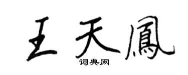 王正良王天鳳行書個性簽名怎么寫