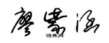 朱錫榮廖紫涵草書個性簽名怎么寫