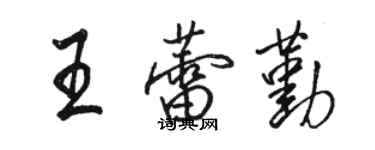 駱恆光王蕾勤行書個性簽名怎么寫