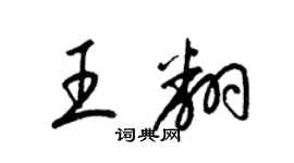 梁錦英王翻草書個性簽名怎么寫