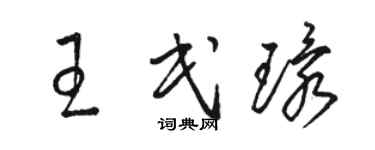 駱恆光王民環草書個性簽名怎么寫