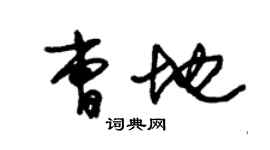 朱錫榮曹地草書個性簽名怎么寫