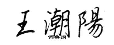 王正良王潮陽行書個性簽名怎么寫