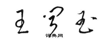 駱恆光王聞玉草書個性簽名怎么寫