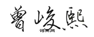 駱恆光曾峻熙行書個性簽名怎么寫