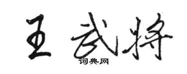 駱恆光王武將行書個性簽名怎么寫