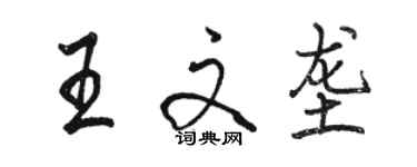 駱恆光王文壟行書個性簽名怎么寫