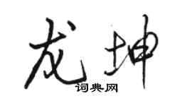 駱恆光龍坤行書個性簽名怎么寫