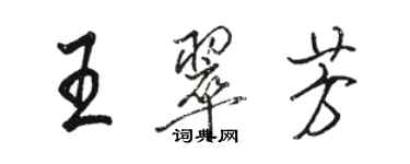 駱恆光王翠芳行書個性簽名怎么寫