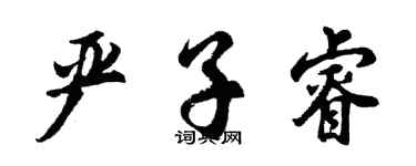 胡問遂嚴子睿行書個性簽名怎么寫