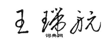 駱恆光王瑞航草書個性簽名怎么寫