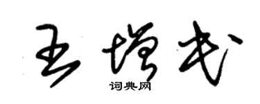 朱錫榮王增民草書個性簽名怎么寫