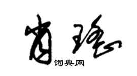 朱錫榮肖瑤草書個性簽名怎么寫