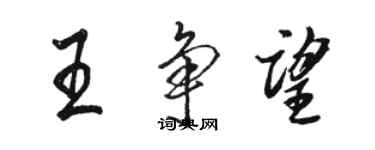 駱恆光王爭望行書個性簽名怎么寫