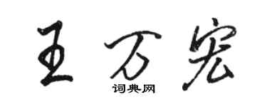 駱恆光王萬宏行書個性簽名怎么寫