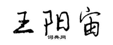 曾慶福王陽宙行書個性簽名怎么寫