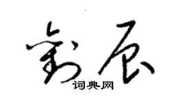 梁錦英劉辰草書個性簽名怎么寫