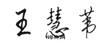 駱恆光王慧葦行書個性簽名怎么寫