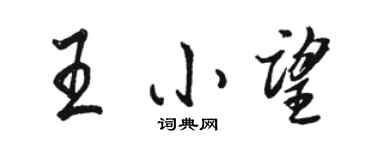 駱恆光王小望行書個性簽名怎么寫