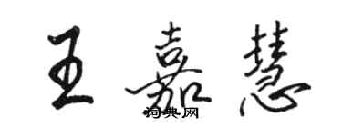 駱恆光王嘉慧行書個性簽名怎么寫