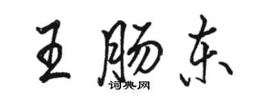 駱恆光王腸東行書個性簽名怎么寫