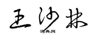曾慶福王沙林草書個性簽名怎么寫