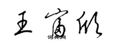 梁錦英王富欣草書個性簽名怎么寫