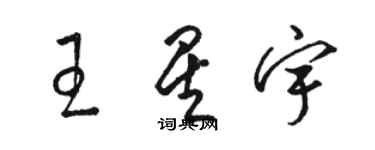 駱恆光王星宇草書個性簽名怎么寫