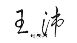 駱恆光王沛草書個性簽名怎么寫