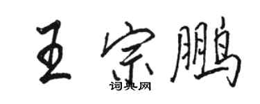 駱恆光王宗鵬行書個性簽名怎么寫