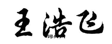 胡問遂王浩飛行書個性簽名怎么寫