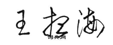 駱恆光王想海草書個性簽名怎么寫