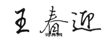 駱恆光王春迎行書個性簽名怎么寫