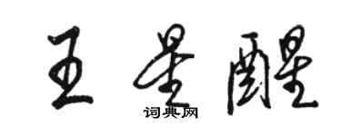 駱恆光王星醒行書個性簽名怎么寫