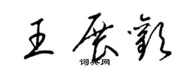 梁錦英王展歡草書個性簽名怎么寫