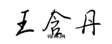 王正良王含丹行書個性簽名怎么寫