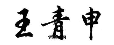 胡問遂王青申行書個性簽名怎么寫