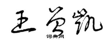 曾慶福王曾凱草書個性簽名怎么寫