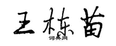 曾慶福王棟苗行書個性簽名怎么寫