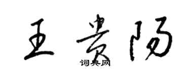 梁錦英王貴陽草書個性簽名怎么寫