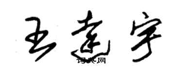 朱錫榮王達宇草書個性簽名怎么寫