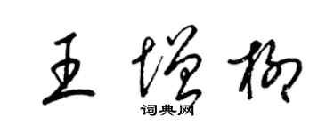 梁錦英王增柳草書個性簽名怎么寫