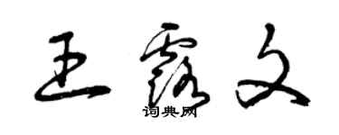 曾慶福王露文草書個性簽名怎么寫